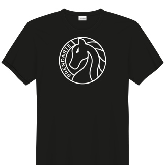 Camiseta - Prendarte Limited